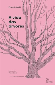 fascinante-francis-das-uma-arvores-jornada-a-halle-os-com-desvende-segredos-a