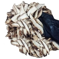 Cogumelo Shitake Fatiado Desidratado 100g - imagem 2