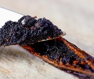 6Un. Fava De Baunilha Bourbon De Madagascar 2g - imagem 4