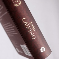 Devocional Diário com Calvino: Fortaleça sua Fé - imagem 2