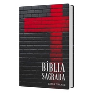 Kit Bíblia NVI: Força & Luz para Sua Fé - imagem 2