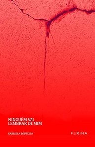Ninguém Vai Lembrar de Mim: Contos Introspectivos sobre Solidão e Relações Femininas - imagem 2
