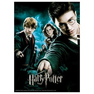 Puzzle Harry Potter 60 Peças: A Ordem da Fênix - imagem 2