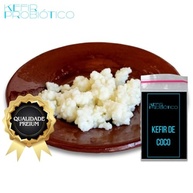 Scoby Kombucha Original Fermentação Caseira + Colher de Pau + Kefir de Coco - imagem 3