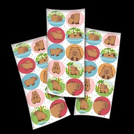 festa-sua-decore-festcolor-capivara-adesivos