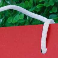 Sacolinhas Chapeuzinho Vermelho: Monte Sua Festa! - imagem 2