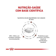 Royal Canin Hepatic: Ração para Cães com Problemas no Fígado - imagem 2