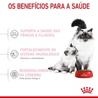 Royal Canin Mother & Baby Cat: Nutrição Completa para Gatas e Filhotes - imagem 2