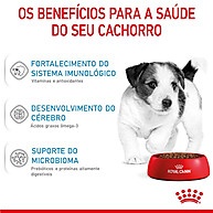 Royal Canin Mini Puppy: Nutrição Ideal para Filhotes - imagem 2