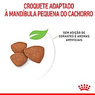 Royal Canin Mini Indoor Junior: Nutrição para Filhotes - imagem 2