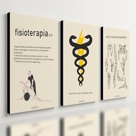 Kit 3 Quadros Decorativos para Fisioterapia - Design Moderno em MDF 40x28cm - imagem 2