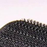 Fita Velcro Adesiva 5m: Fixação Forte e Rápida! - imagem 1