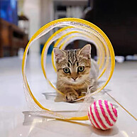 Túnel Mola Interativo para Gato – Diversão Dobrável e Flexível - imagem 1