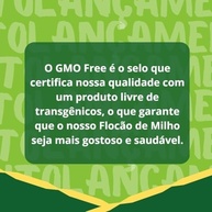 Flocão de Milho Não Transgênico GMO Free Bonomilho 500g - imagem 4