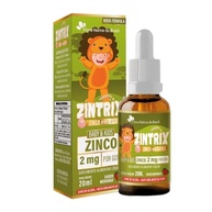 ZINTRIX (Zinco Infantil) 20ml - Flora Nativa Sabor:Morango - imagem 1