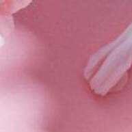 Prestige Pink La Rive: Seu Novo Perfume Floral - imagem 1