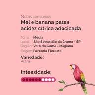 CAFE FAZENDA FLORESTA Fazenda Floresta Café Fazenda Floresta Especial Arara - Torrado E Moído 250G - imagem 1
