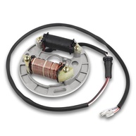 Estator FLYPIG para Suzuki LT80 Quadsport e Kawasaki KFX 80: Potência e Durabilidade Garantidas - imagem 1