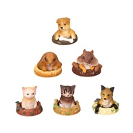Conjunto de Modelos de Cães Decorativos - Estátuas Fofas para Mesa, Escritório e Carro - imagem 1