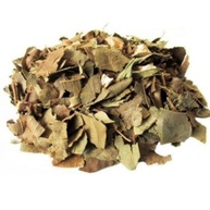 Abacate Folha 500Gr (Erva desidratada) - imagem 2