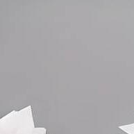 Folhagem de Ficus Branco de Silicone - 12 Unidades BH802259 - imagem 1