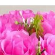 Buquê 24 Rosas: Encanto e Folhagem - imagem 2