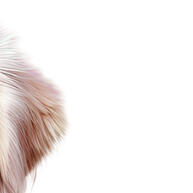 Fonte Bebedouro Pet 3 Cascatas Durapets: Água Fresca! - imagem 1