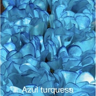 Forminhas Azul Turquesa para Doces: Elegância nas Festas CELEBRARE - imagem 1