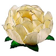Forminhas de Doces Finos Marfim: Elegância Rizzo - imagem 1