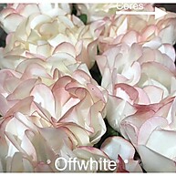 Forminhas Off White CELEBRARE: Elegância para Doces Finos em Casamentos e Festas - imagem 1