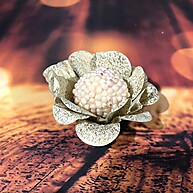 Forminhas Ouro Novo Style para Doces Finos – Elegância em Cada Detalhe - imagem 1