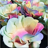Forminhas Tie Dye: Decore Seus Doces com Estilo! - imagem 1