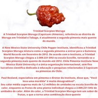 Molho de Pimenta Mais Forte do Mundo, Desafiadora da Pepper X, Rótulo Personalizado - imagem 5