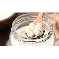 Kefir de Leite: Mudas Frescas e Originais - imagem 2