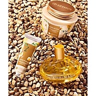 Amburana 100ml: A Colônia que Exala Frescor - imagem 2