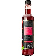 Dilute Frutas Vermelhas: Sabor Intenso 500ml - imagem 2