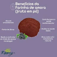 Farinha de Amora - fruto em pó 100% integral - imagem 9