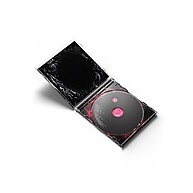 Chromatica: O CD Icônico de Lady Gaga - imagem 2