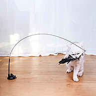 garantida-diversao-ventosa-com-gato-varinha
