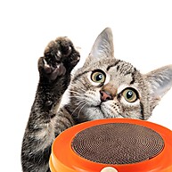 Brinquedo Corre Corre para Gato – Diversão e Saúde Garantidas! - imagem 2