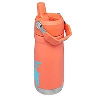 garrafa-a-isolada-prova-a-500ml-de-flip-grapefruit-para-criancas-vazamento-straw-stanley-iceflow-sabor-a