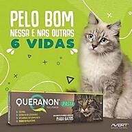 Avert Queranon: Pelagem Radiante para seu Gato! - imagem 2