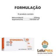 Stomorgyl: Elimine Infecções Bucais em Cães e Gatos - imagem 2