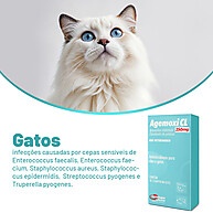 Agemoxi CL 250mg: Antibiótico para Cães e Gatos - imagem 2