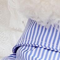 gatos-e-caes-para-estilo-e-conforto-verao-pet-roupa
