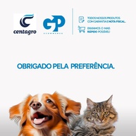 Pet Smack Melancia: Perfume Cães e Gatos! - imagem 2