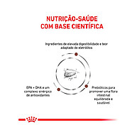 Royal Canin Gastrointestinal: Saúde Digestiva para Gatos - imagem 2
