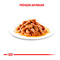 Ração Úmida Royal Canin Hair Skin: Pele e Pelagem Saudáveis para Gatos - imagem 2