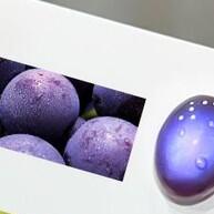 geis-magneticos-holograficos-2025-colecao-xeijayi-para-unhas-olho-de-gato