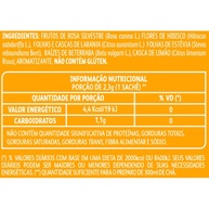 Chá Leãozinho Kids: Sabor e Saúde na Água Gelada! - imagem 2